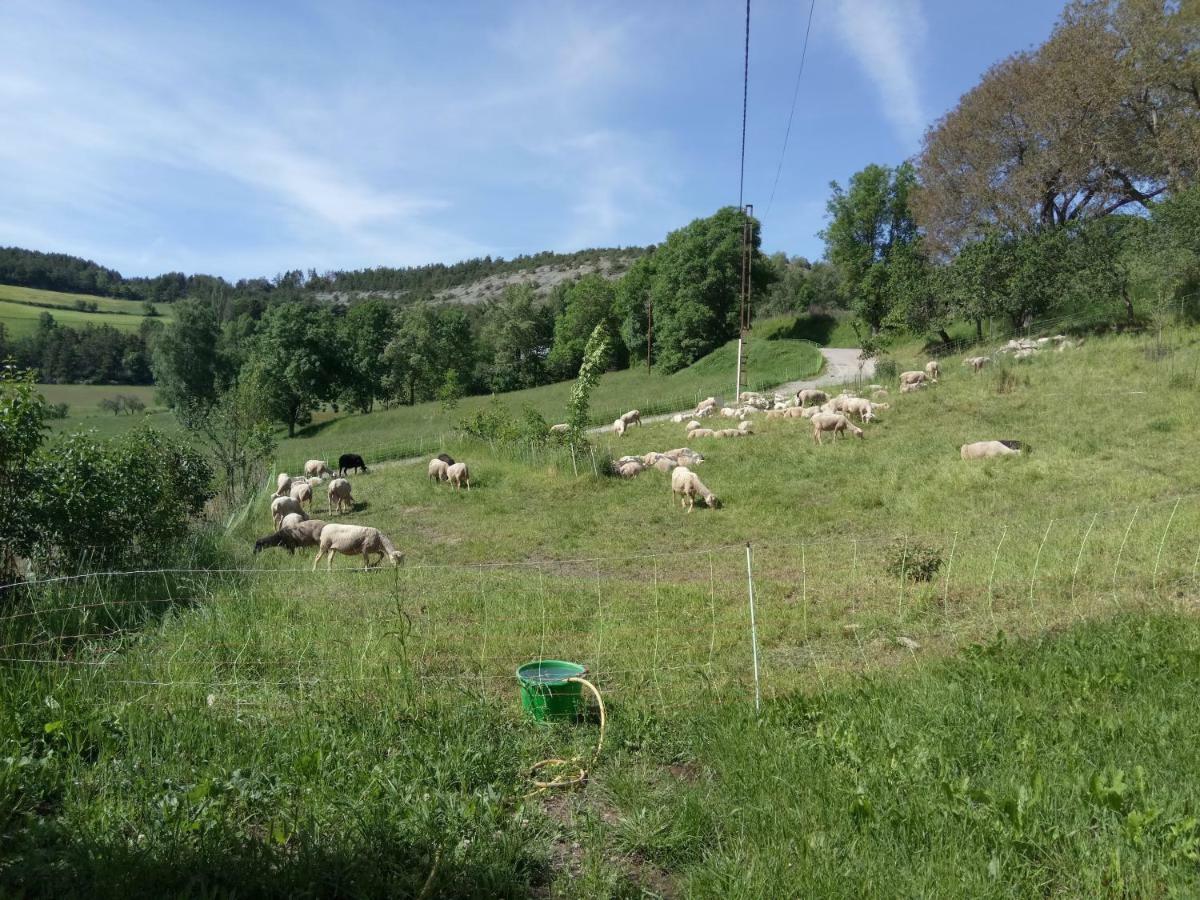 Les Logis De Lucie